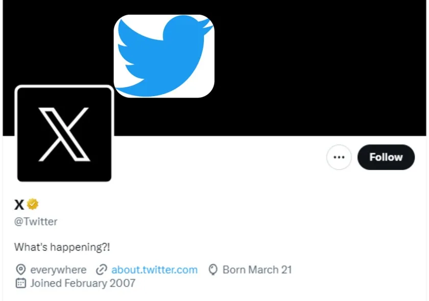 twitter logo change, twitter logo x, twitter new logo x, x twitter logo, twitter logo change to x, means of new twitter logo x, x twitter logo means, twitter logo new,