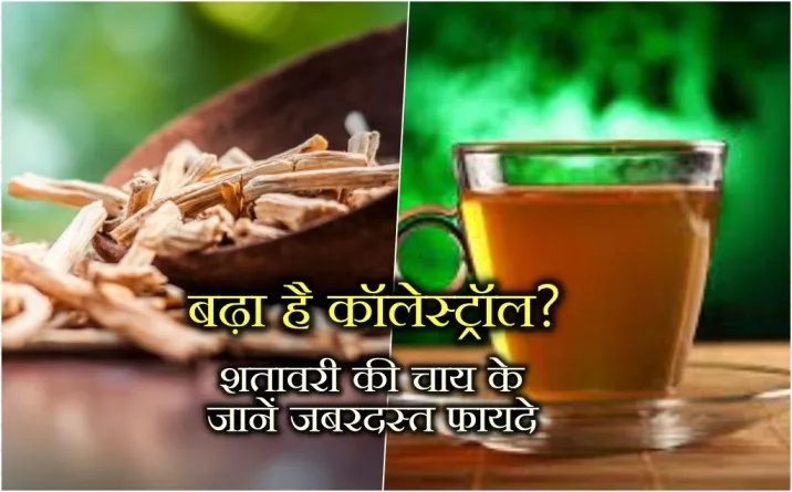 Shatavari teb, Shatavari Tea Recipe, What is Shatavari, Cholesterol, Shatavari Tea reduce Cholesterol, how to reduce Cholesterol, reduce cholesterol, health news in hindi,