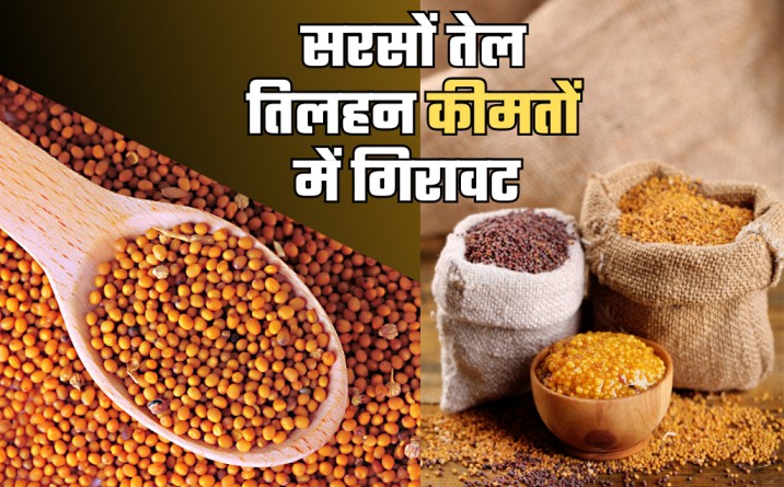 oilseeds prices, grain market prices today, oilseeds prices today, oilseeds prices, mustard oil oilseeds, mustard oil oilseeds price, oilseed production by country,oilseed production in india, oilseed production in india 2023, oilseed production in india state wise, Mustard, Soybean and Sunflower,