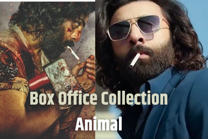 Animal box office collection day 12, animal box office collection day 12 worldwide collection, animal box office collection list, animal box office collection worldwide, animal box office collection day by day list,