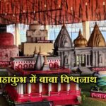 prayagraj news, mahakumbh, maha kumbh, baba vishwanath at mahakumbh