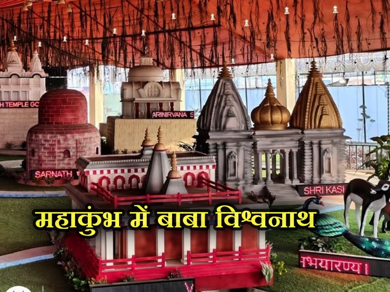 prayagraj news, mahakumbh, maha kumbh, baba vishwanath at mahakumbh