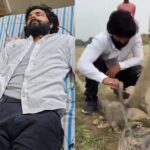Jaunpur news, Murliwala Hausla, King Cobra, Jaunpur News in Hindi, मुरलीवाले हौसला को किंग कोबरा ने डंसा, मुरलीवाले हौसला को कोबरा ने डंसा, हालत गंभीर, Latest Jaunpur News in Hindi, Jaunpur Hindi Samachar, जौनपुर समाचार,