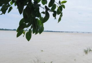 Ghazipur News, Ghazipur News Video, flood in Ghazipur, Ghazipur rain, Online Ghazipur News Video, Ghazipur News Video Clips, Ghazipur Hindi News Video, Online Ghazipur News, गाजीपुर न्यूज़ वीडियो
