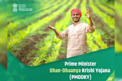 PM Dhan Dhanya Krishi Yojana 2025, PM Dhan Dhanya Krishi Yojana, PM Dhan Dhanya Krishi Yojana 2025 Kya Hai, प्रधानमंत्री धन-धान्य कृषि योजना, pm dhan dhanya krishi yojana kya hai, pm-ddky, प्रधानमंत्री धन-धान्य कृषि योजना, pm dhan dhanya krishi yojana, pm ddky scheme, pm ddky benefits, किसान योजना 2025, कृषि योजना 2025, केंद्र सरकार की किसान योजना, मोदी सरकार की नई योजना, कृषि अनुदान योजना, किसान सब्सिडी योजना, फसल भंडारण योजना,
