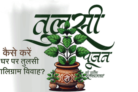 tulsi vivah 2025, tulsi vivah puja vidhi in hindi, tulsi vivah 2025 dates, tulsi vivah kis din hai, तुलसी शालिग्राम विवाह, तुलसी विवाह 2025, तुलसी का विवाह कैसे करें, तुलसी विवाह पूजा विधि, tulsi vivah 2025 Vidhi, ekadashi tulsi vivah 2025, dev uthani ekadashi 2025 vivah muhurat, dev uthani ekadashi 2025 , dev uthani ekadashi 2025 vivah ka muhurat, dev uthani ekadashi 2025 katha, ekadashi aarti,