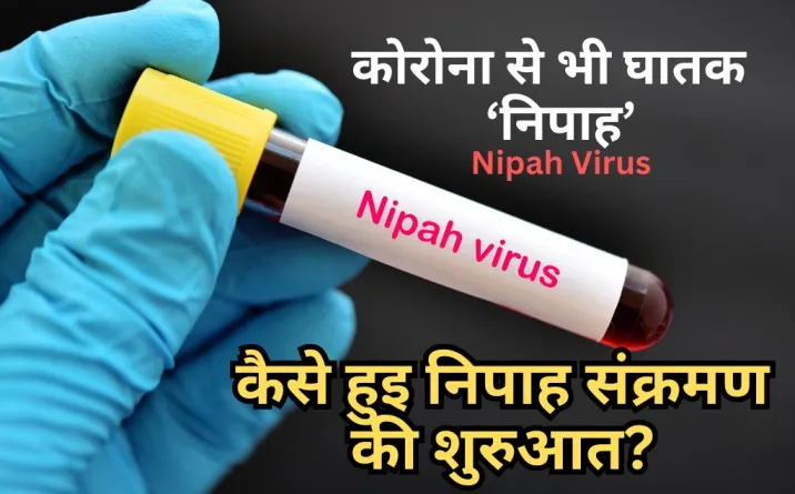 Nipah virus history, Nipah viru symptoms, Nipah viru prevention, nipah virus in india, Nipah virus mortality rate, nipah virus vaccine, nipah virus treatment, nipah virus transmission, nipah virus in india case, nipah virus kerala 2018 death list, nipah virus in kerala total death, nipah virus kerala first patient, nipah virus outbreak in kerala, nipah virus news, nipah virus in india latest news,