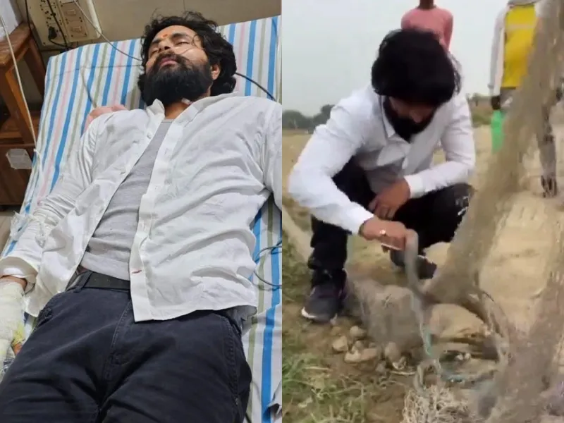Jaunpur news, Murliwala Hausla, King Cobra, Jaunpur News in Hindi, मुरलीवाले हौसला को किंग कोबरा ने डंसा, मुरलीवाले हौसला को कोबरा ने डंसा, हालत गंभीर, Latest Jaunpur News in Hindi, Jaunpur Hindi Samachar, जौनपुर समाचार,